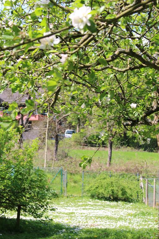 Ferienwohnung Burgsicht Heimbach Exterior foto